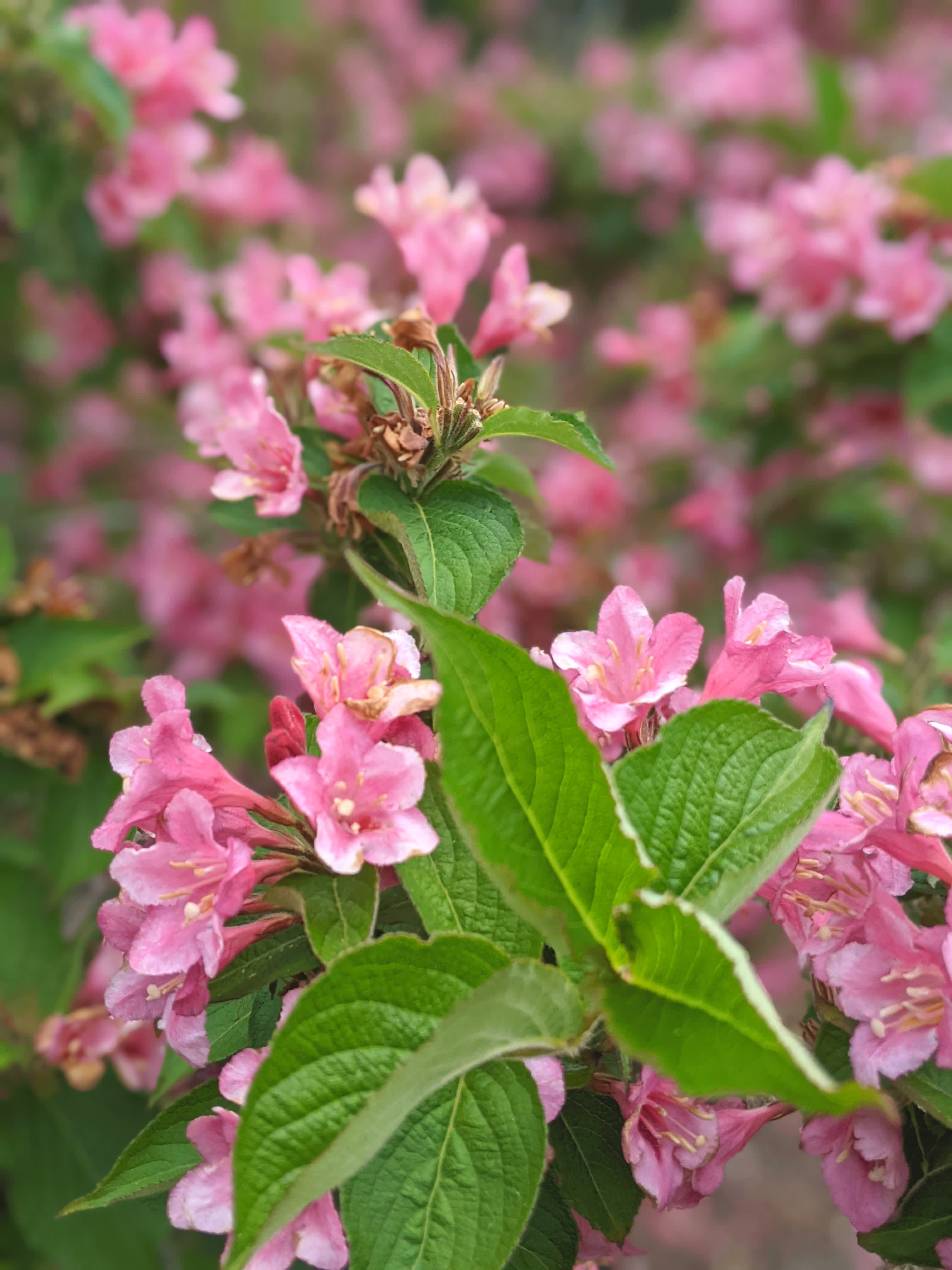 Studio reference image