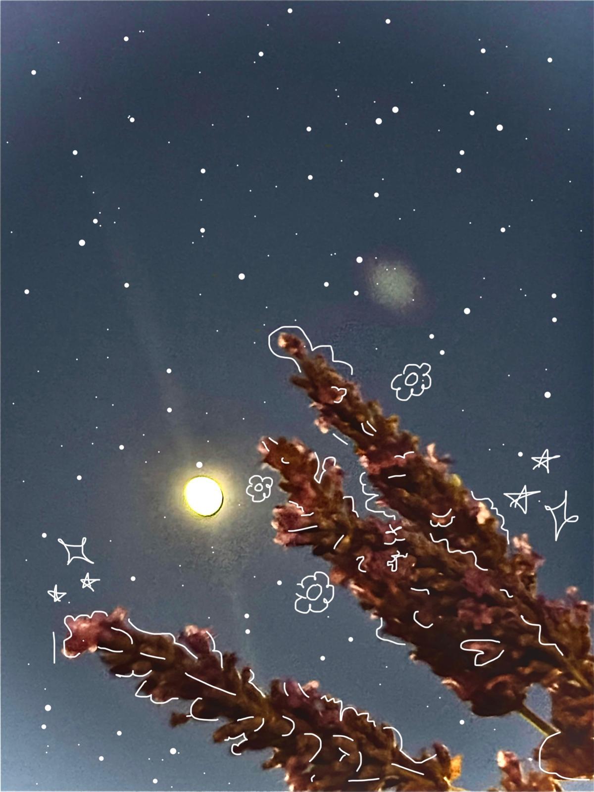 InkAndAlgo Studio About